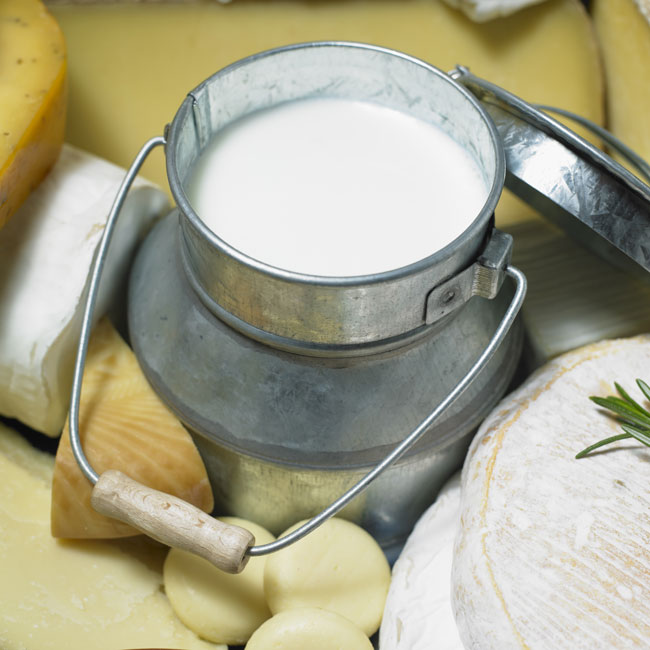 dairy-products-ingredients