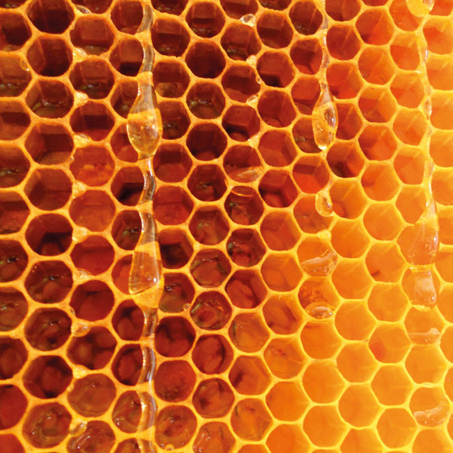 flavours-ingredients