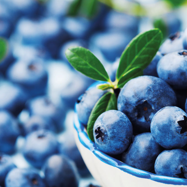 fruit-powders-ingredients