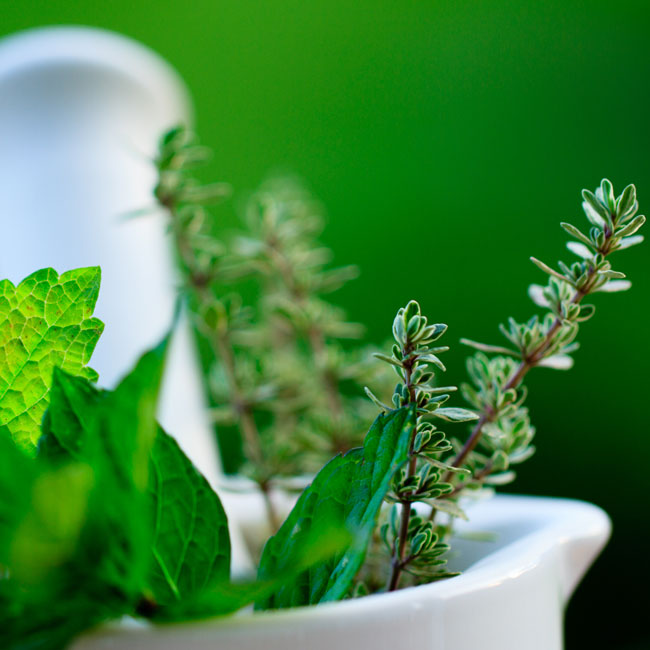 seasonings-ingredients