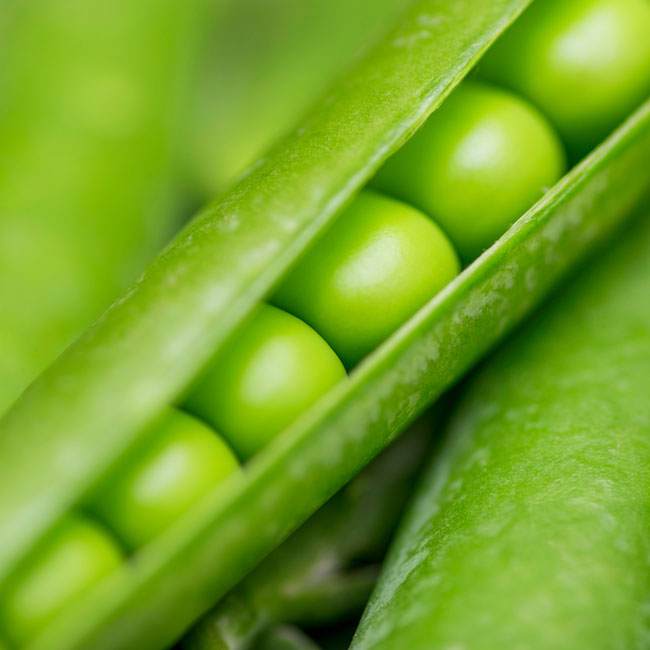 vegetable-pieces-ingredients